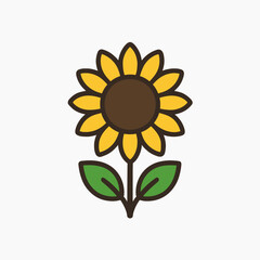 sunflower vector illustration