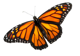Fototapeta premium Colorful butterfly PNG isolated on a transparent background, perfect for designs.