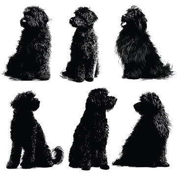 whoodle silhouette set, Black & White silhouette set