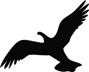 Flying Bird Silhouette Vector | Spread Wings Animal Clipart Design