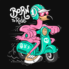 Funny flamingo rider born to ride, cartoon illustration of pink biker bird on scooter