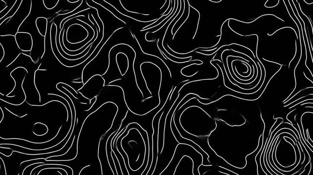 An abstract black and white topographic pattern with thin white lines creating a seamless texture background
