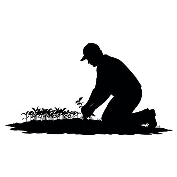 silhouette gardener planting seedlings outdoors clip art preview