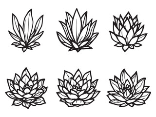 Simple modern succulent leaf outline vector drawing art