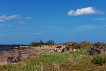 A small deserted beach at Tentsmuir Nature Reserve, with Root Balls and Tree debris from a large storm 4 years previously.