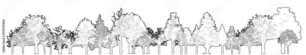 Poster architectural drawings, minimal style cad tree line drawing, side view, set of section wetland fores