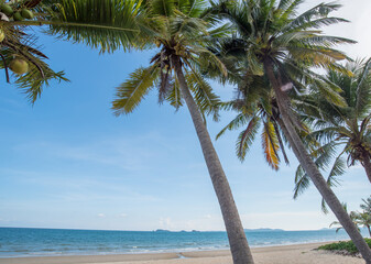 Beautiful nature sea summer background,Sand beach