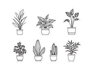 Stylish floor plant outline vector art for decoration