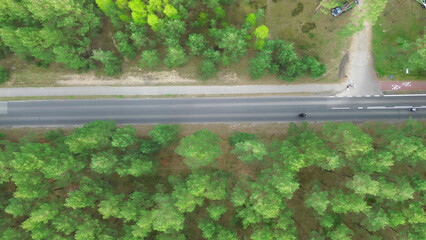 Country road passing through dense forest