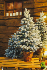 This beautifully charming Frosted Mini Christmas Tree, set in a rustic environment, adds a...