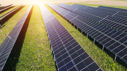 Field of solar panels generating sustainable energy under sun