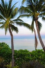 Obraz premium Palm trees and the sea, Nathon Beach, Island Ko Samui, Southeast Thailand.