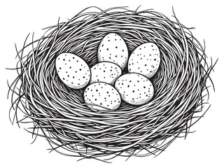 vector illustration of bird nest with eggs outline style