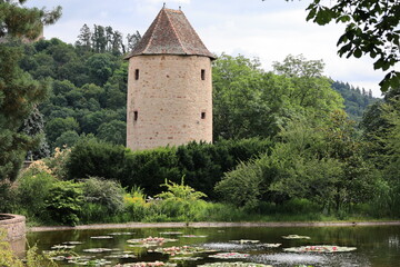 Blick in die Altstadt von Weinheim in Baden-Württemberg	