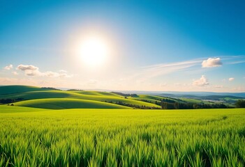 Obraz premium Vibrant green field under a sunny summer sky, rolling hills in the distance, greenery, sunny