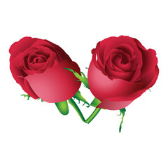 Red roses, created with rose petals and bud flowers. Rose flower icon. rose vector illustration.
