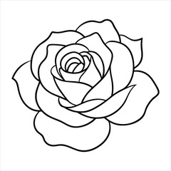Outline Drawing of a Detailed Rose Flower on a White Background