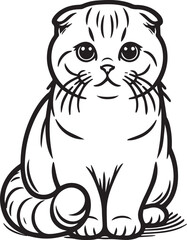 Scottish Fold Cat Vector in black and white