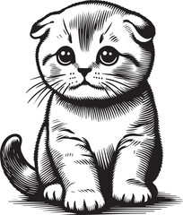 Scottish Fold Cat Vector in black and white