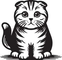 Scottish Fold Cat Vector in black and white