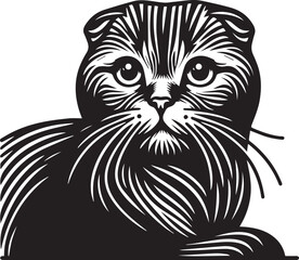 Scottish Fold Cat Vector in black and white