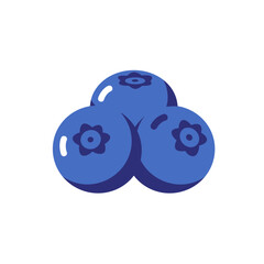 Blueberry fruit icon in flat style. Bilberry vector illustration on white background. Sweet berry sign business concept.