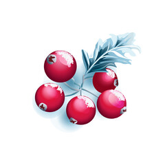  Holiday Cranberry Branch Illustration. Cluster of red cranberries with icy evergreen leaf winter fruit vector