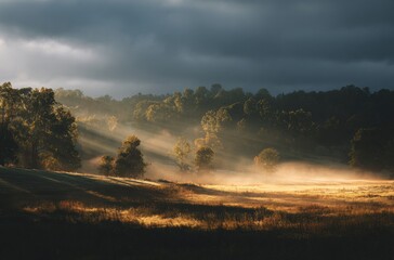 man walking in the fog
