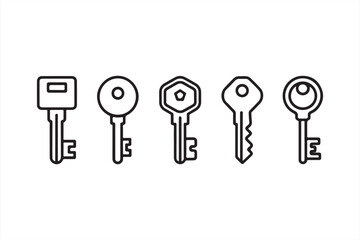 Unlock the Secret: An array of meticulously crafted, monochromatic keys, each with its unique design, stands as a symbol of security, access, and untapped potential.