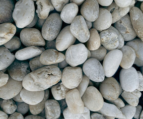 White pebbles are sedimentary rocks that have been carried together by water currents. Due to...