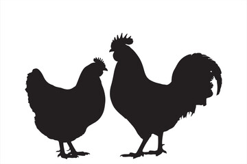 Silhouette of Rooster and Hen: A classic silhouette presents a rooster and hen standing proudly side-by-side. The stark contrast emphasizes their distinct features.