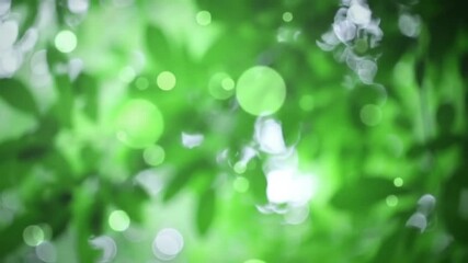 Green bokeh blur, abstract nature background with soft light circles and sunlit leaves in dreamy green tones ideal for wellness meditation or peaceful outdoor aesthetics - Powered by Adobe