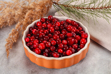 Ripe sweet sour cranberry heap