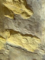 The unique textured rock surface features intricate patterns in yellow and gray hues, which can be observed in various natural environments, showcasing the beauty of geology and nature at its finest