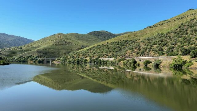 Terraced vineyards on the hills along the Douro River Valley, Portugal