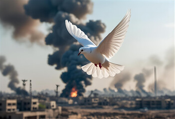 White dove flying over a warzone. Peace vs destruction symbolism.