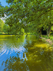 Enjoying a Serene Lakeside View, complete with Lush Greenery and Clear Reflections, all set under a...