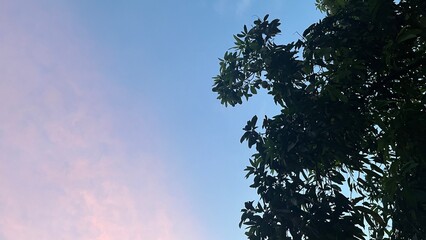 Golden Warm Clouds Drift Over Peaceful Coastal Sunset Horizon