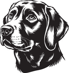 Black dog labrador retriever head portrait canine pet animal drawing art
