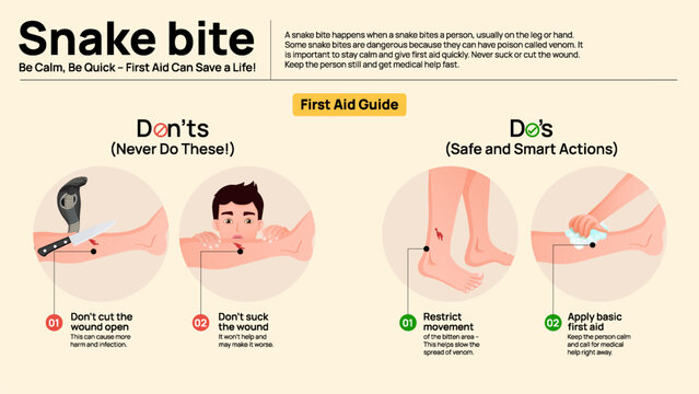 Snake Bite First Aid Infographic &ndash; Do&rsquo;s and Don&rsquo;ts and Emergency Response Steps