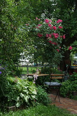 garden with flowers.Table in the garden above the arch with roses