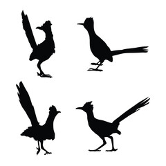 set of Roadrunner Bird black silhouettes illustration on whtie background vol 01