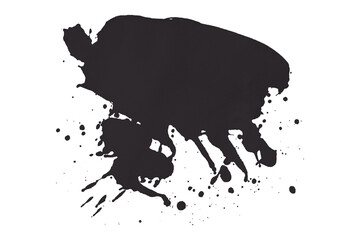 Bright black watercolor or ink stains with watercolor marks. Brush strokes and watercolor splashes set on a transparent background.