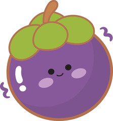 Mangosteen illustration.