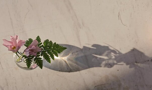 Beautiful single-petal pink lisianthus flowers arranged with ferns, dancing in the breeze and dappled sunlight, displayed in a clear glass vase on a white marble table
