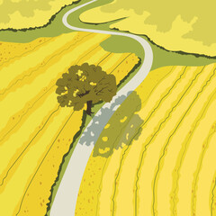 Cartoon yellow fields and trees. Vector hand drawn illustration, field landscape.	