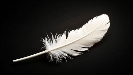 Obraz premium Hyper-Realistic White Chocolate Feather on Pure Black Background