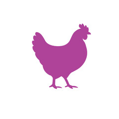 Lavender Grit: The Chicken of Quiet Resilience