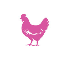 Soft Ember: The Chicken of Gentle Tenacity