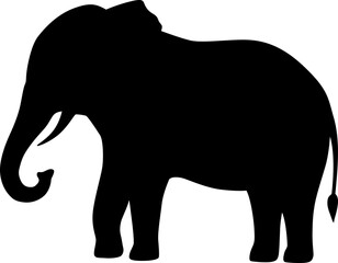 Elephant Silhouette

